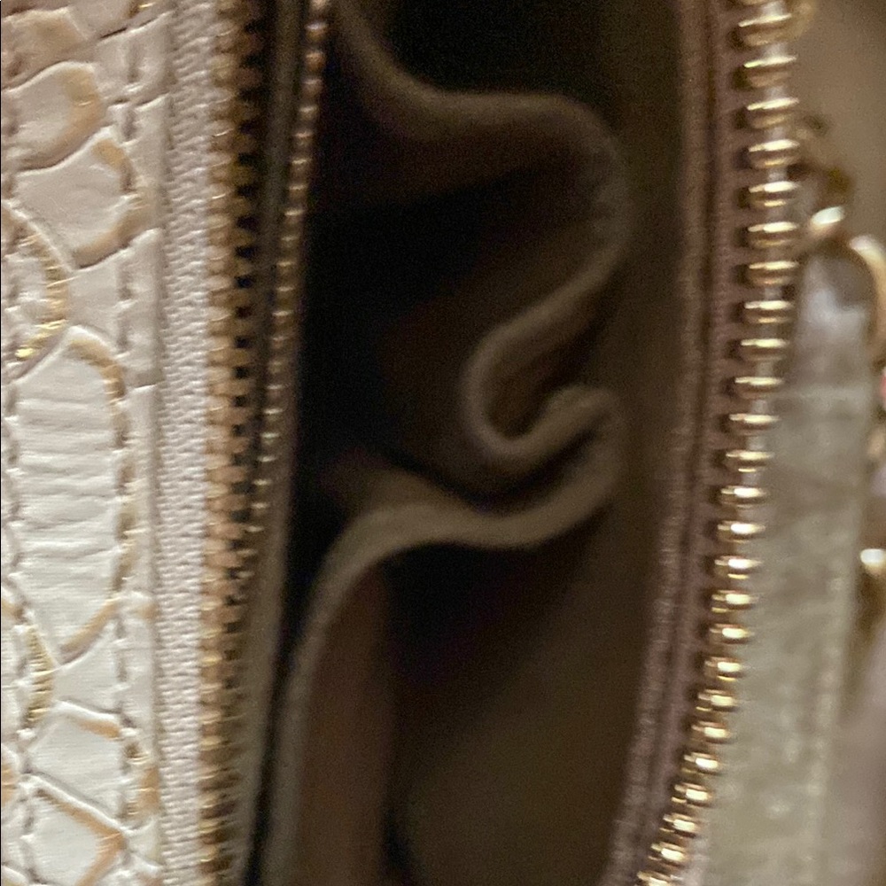 Alice & Olivia Elegant Snake-Embossed Handbag chain strap, coin bag & dust bag - Picture 12 of 15